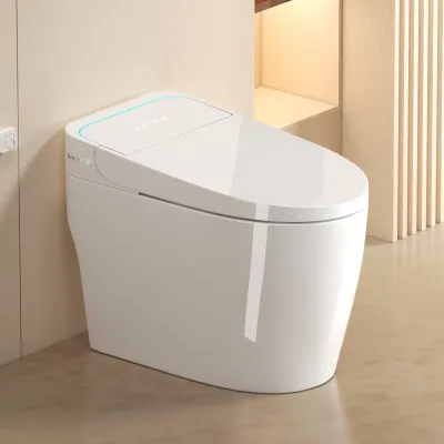 Unique Smart Toile,  One Piece Toilet with Bidet Built In,Intelligent Toilet Auto Open/Close Seat. Bidet toilet with Dryer and Warm Water.WHITE