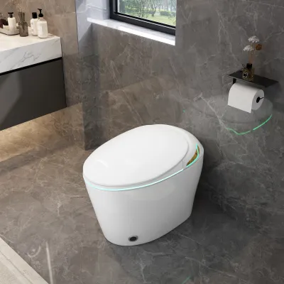 Unique Smart Toile,  One Piece Toilet with Bidet Built In,Intelligent Toilet Auto Open/Close Seat. Bidet toilet with Dryer and Warm Water.WHITE
