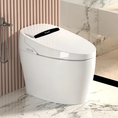 Smart Toilets with Heated Bidet Seat.Portable toilet with bidet built.Intelligent Toilet Auto Open/Close Seat. Bidet toilet with Dryer and Warm Water