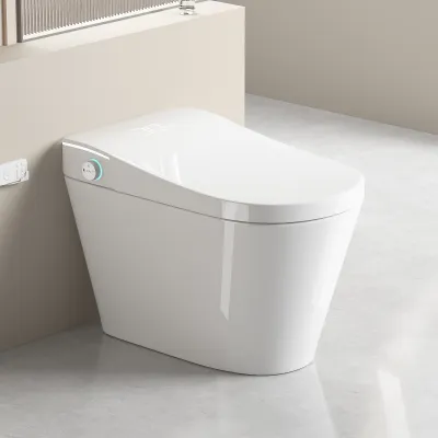 Unique Smart Toile,  One Piece Toilet with Bidet Built In,Intelligent Toilet Auto Open/Close Seat. Bidet toilet with Dryer and Warm Water.WHITE