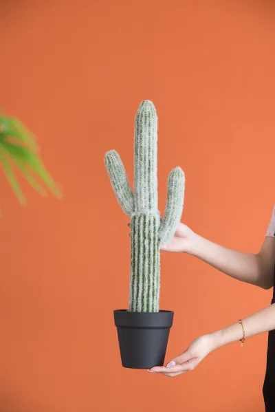 8x5x24.5"H Artificial Saguaro Cactus in Black Pot
