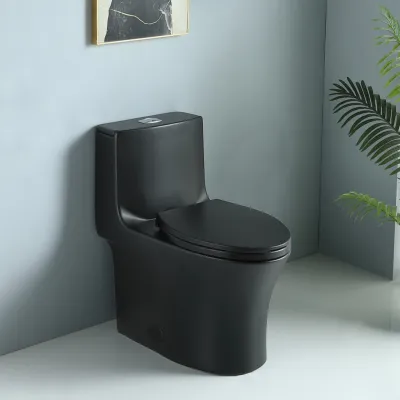 1.1/1.60 GPF Dual-Flush One Piece Toilet, Water-Saving Elongated Comfort Height Floor Mounted, Soft Closing Seat, 1000 Gram Map Flushing Score Toilet, Matte Black GF-24T02-MB