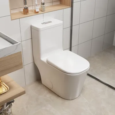 Bothwa Square Bowl Shape Quite Dual Flushing One-Piece Toilet, Stain Resistant, Scratch Resistant, Leak Resistant, Antimicrobial