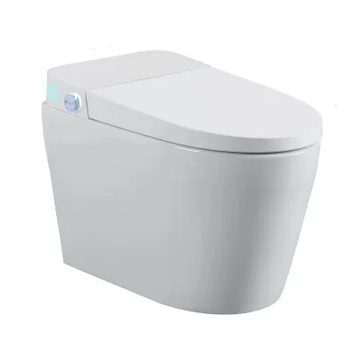Tankless Smart Toilet With Bidet Built In, One-piece Bidet Toilet Seat, Auto Flush,Heated Seat, Warm Water and Dry, Adjustable Temp,Remote Control Side Know