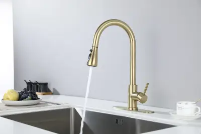 Kitchen Faucet with Pull Out Spraye